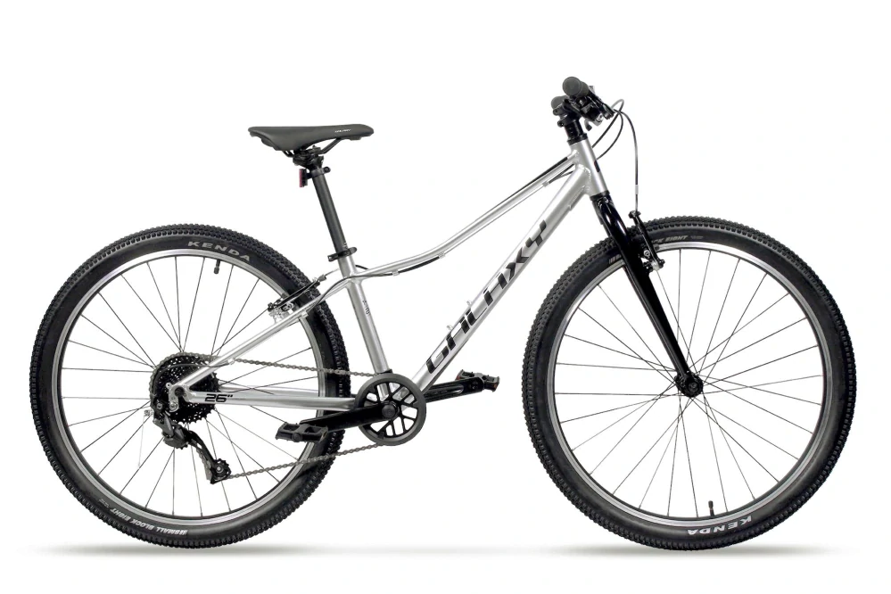 GALAXY ORBIT 26" STŘÍBRNÁ