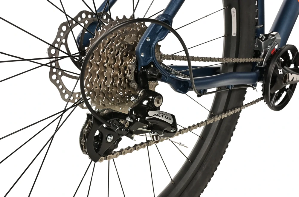 Leader Fox EVOLUTION 29" 2025-2