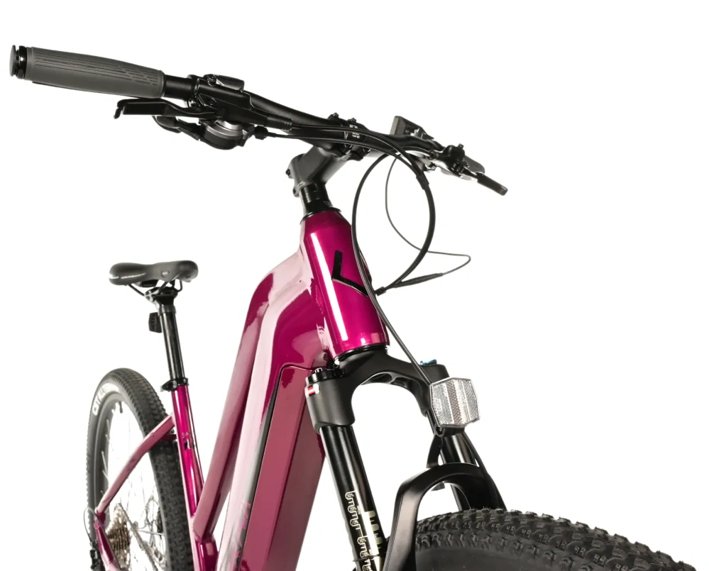 Elektrokolo Leader Fox SWAN 29" DÁMSKÝ růžový