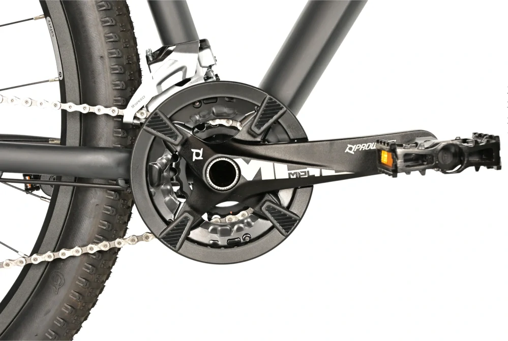 Leader Fox EVOLUTION 29" 2025-1