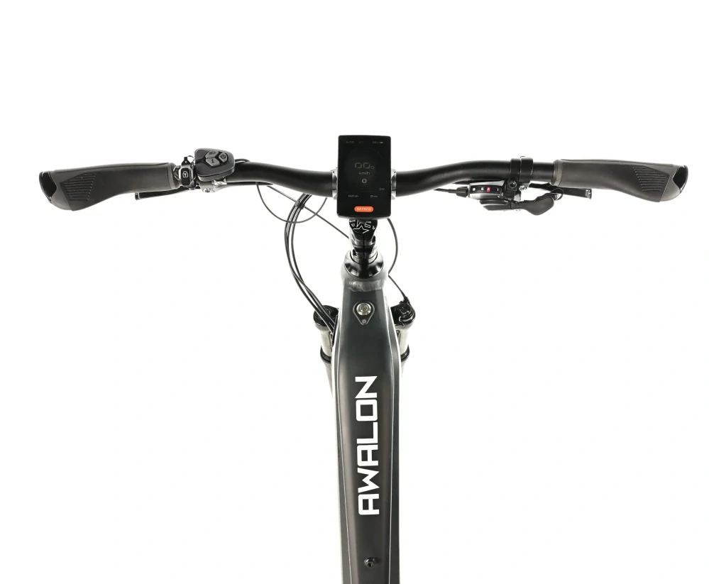 Elektrokolo Leader Fox AWALON 29" DÁMSKÝ grey