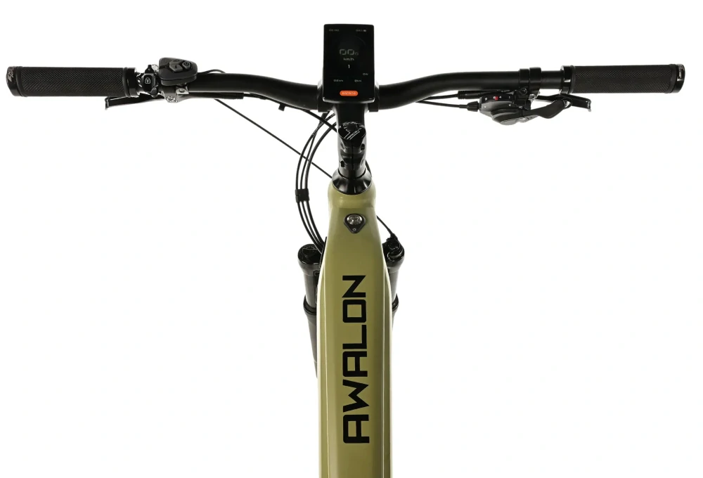 Elektrokolo Leader Fox AWALON 29" PÁNSKÝ green