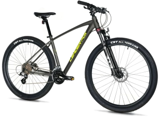 Leader Fox EVOLUTION 29" 2025-1
